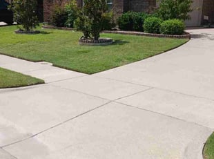 Jazmine J.'s turf care service result