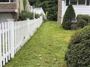 Marcia C.'s turf care service result