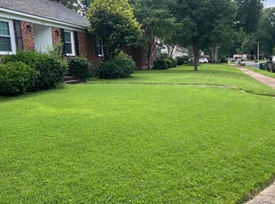 Brandon L.'s landscaping service result