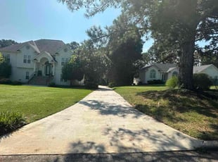 Lys V.'s lawn care services service result