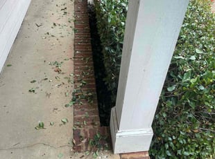 Marion S.'s Bush Trimming service result