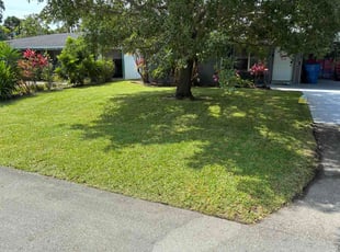 Saed A.'s turf maintenance service result