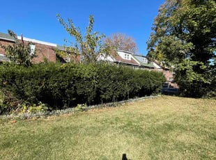 Burton S.'s Bush Trimming service result