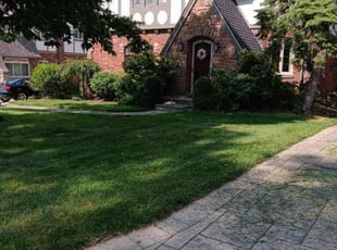 Tyler D.'s grass cutting service result