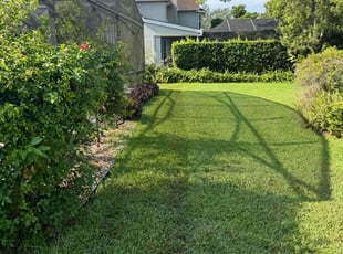 Paul M.'s grass cutting service result