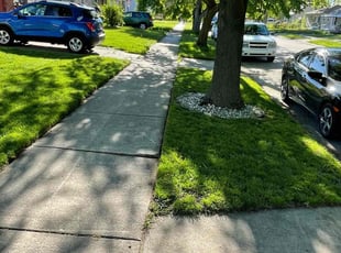 Michele M.'s lawn care service result