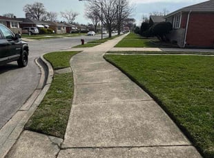 Ebony W.'s grass maintenance service result