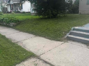 Olumide O.'s Bush Trimming service result