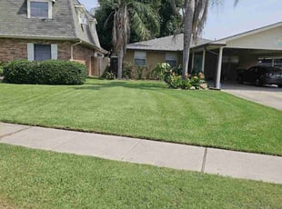 Roxanne L.'s turf care service result
