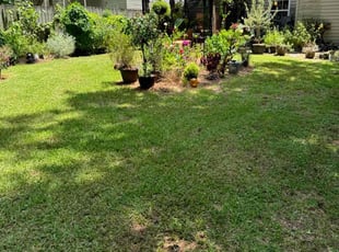 Frances S.'s grass maintenance service result