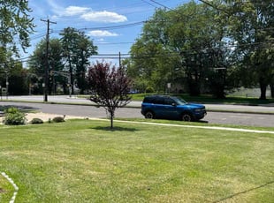 Payton H.'s lawn care service result