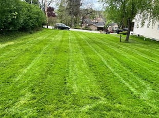 Allen D.'s lawn service service result
