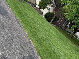 Shawn C.'s lawn maintenance service result