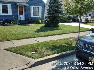 Brian C.'s lawn maintenance service result
