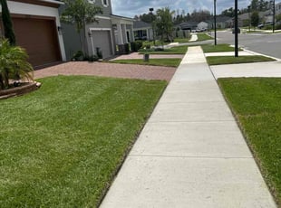 Angelita T.'s grass maintenance service result