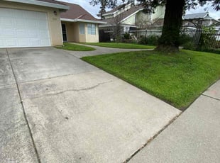 Lynn J.'s turf maintenance service result
