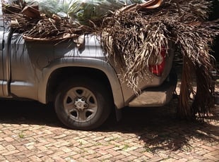 Shannon M.'s Bush Trimming service result