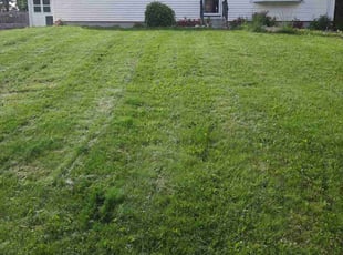 Jessica W.'s lawn care services service result