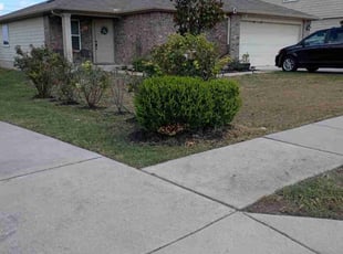 Debra M.'s Leaf Removal service result