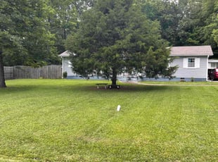 Josh G.'s lawn care service result