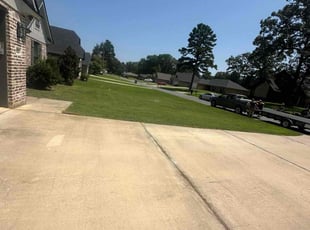 Hermelinda G.'s grass maintenance service result