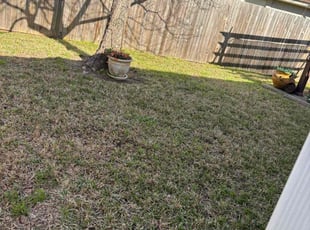 Elizabeth R.'s Leaf Removal service result