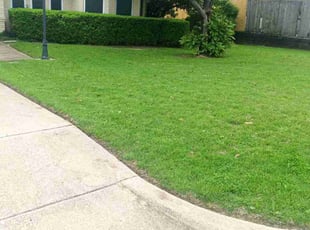 Jeffrey B.'s turf care service result