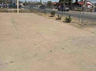 Laurie P.'s lawn care service result
