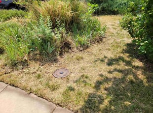 Sean L.'s lawn maintenance service result