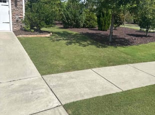 Callan B.'s turf care service result