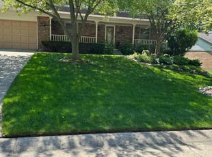 Ravi C.'s yard work service result