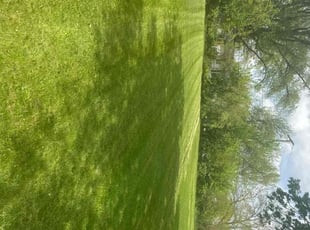 Scarlene A.'s lawn care service result