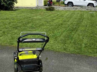 Robert G.'s turf care service result