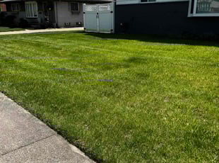 Darren V.'s turf maintenance service result