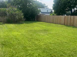 Margaret P.'s turf care service result