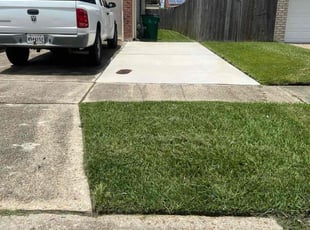 Candace M.'s lawn care services service result