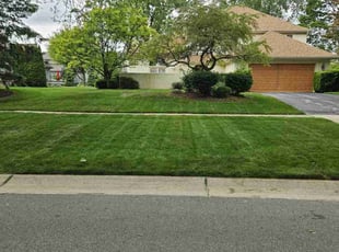Jennifer H.'s grass cutting service result