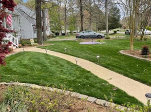 Linda C.'s grass cutting service result