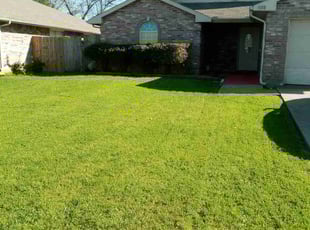 Charles E.'s lawn service service result