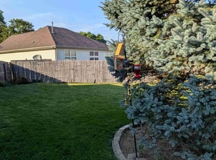 Sheri B.'s lawn care service result