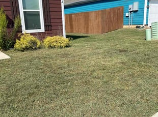 Darrel D.'s turf care service result