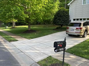 D'Monique O.'s turf maintenance service result