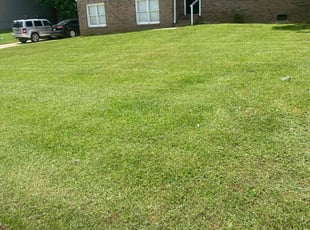 Chrissy X.'s grass maintenance service result