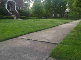 Willow M.'s turf care service result