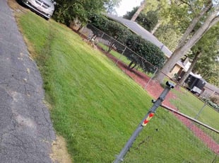 Todd H.'s lawn care service result