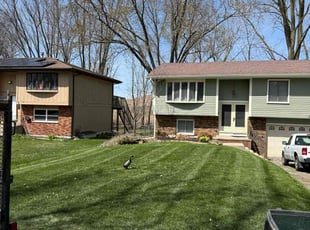 Tauri M.'s turf maintenance service result