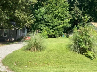 David S.'s grass maintenance service result