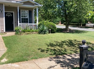 Ban B.'s turf care service result