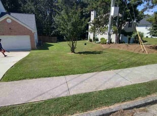 Kaitlynn S.'s lawn service service result