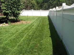 Jack E.'s yard work service result